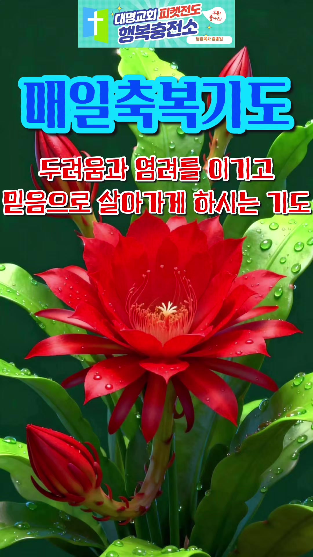 @피켓전도 김종일 목사