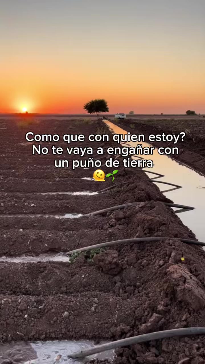 @agroboy_mx