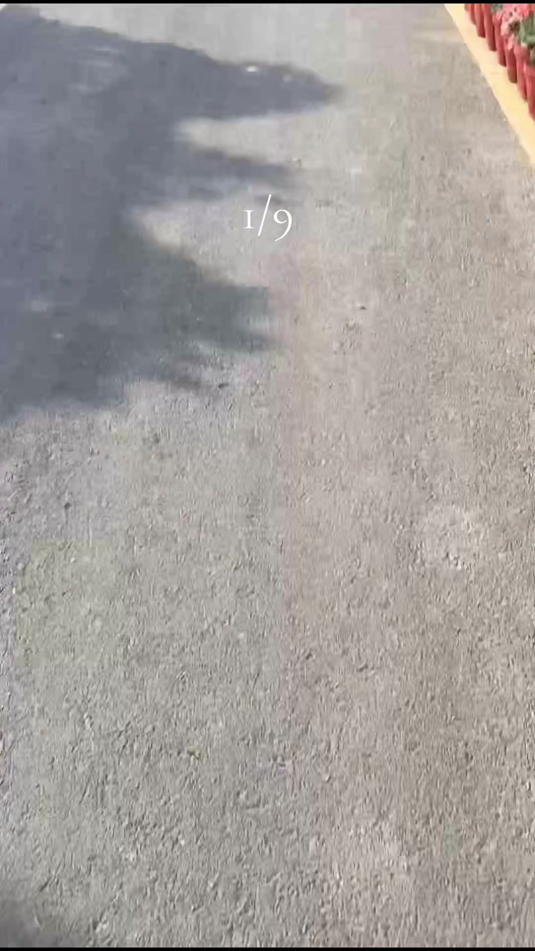 @𐌌𐌕.