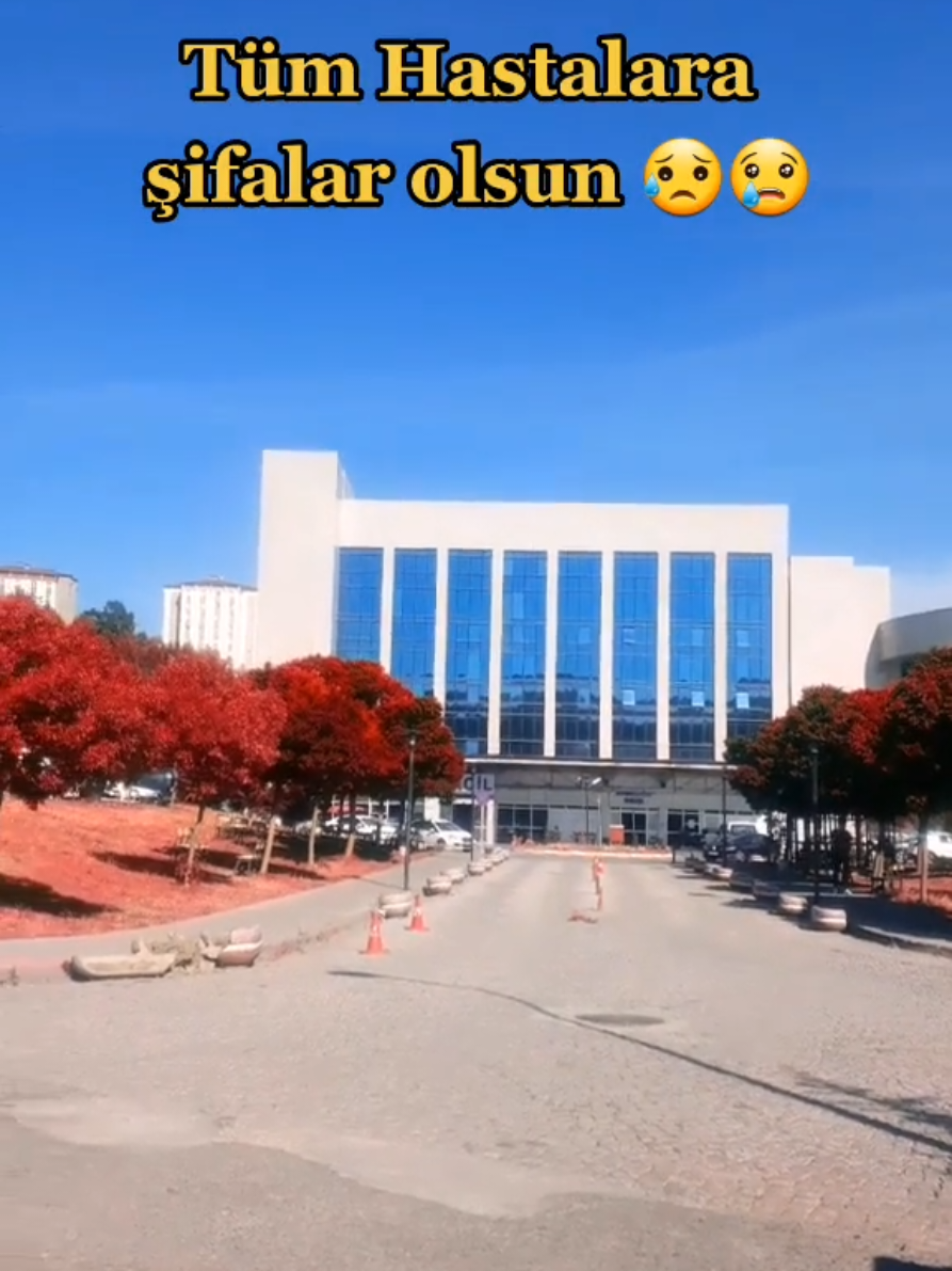 @Umut677✨️