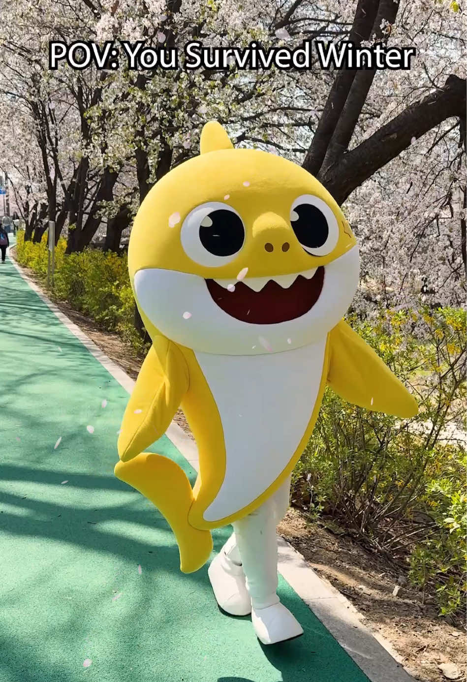 @Baby Shark Official