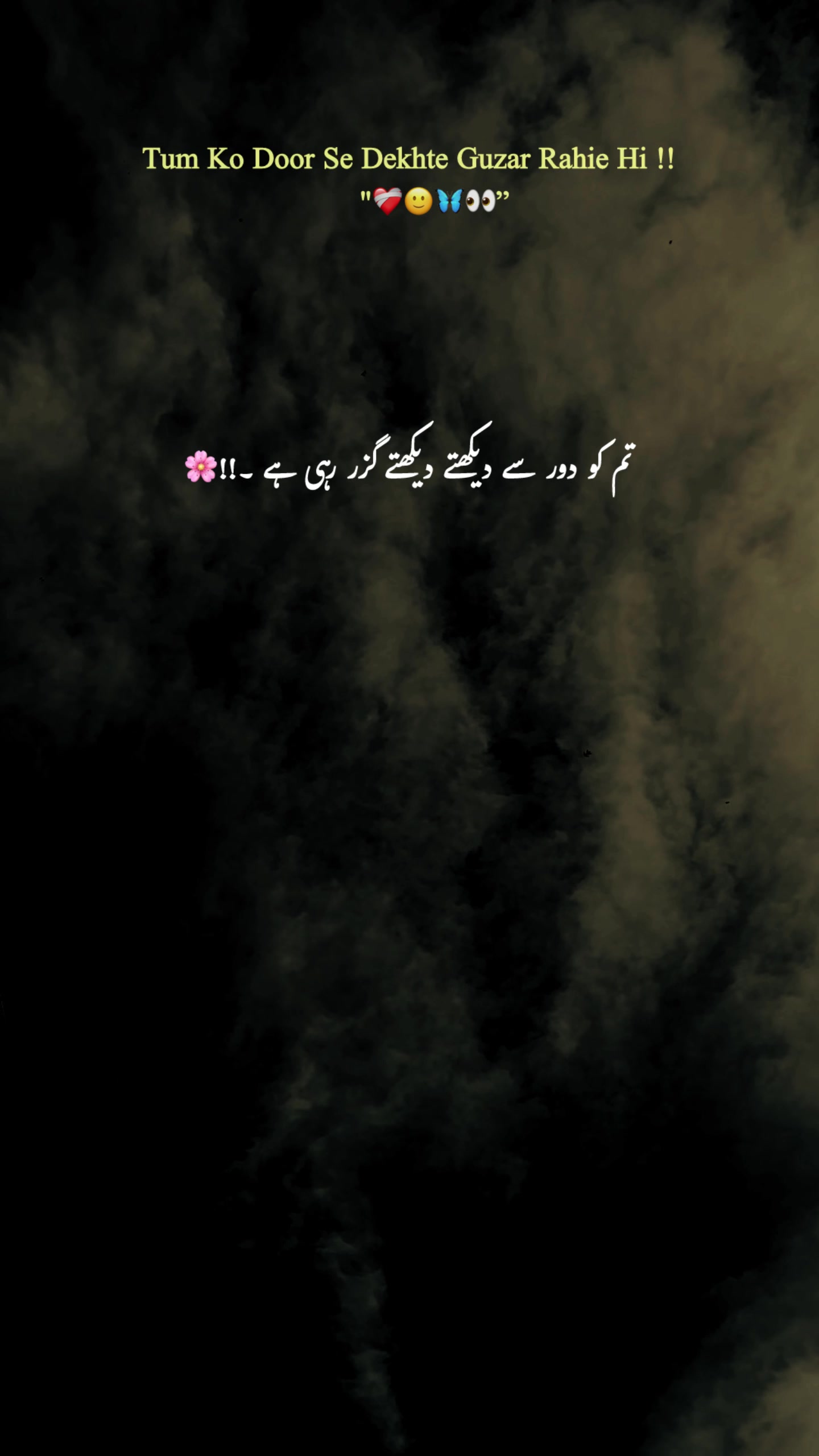 @-🕊️