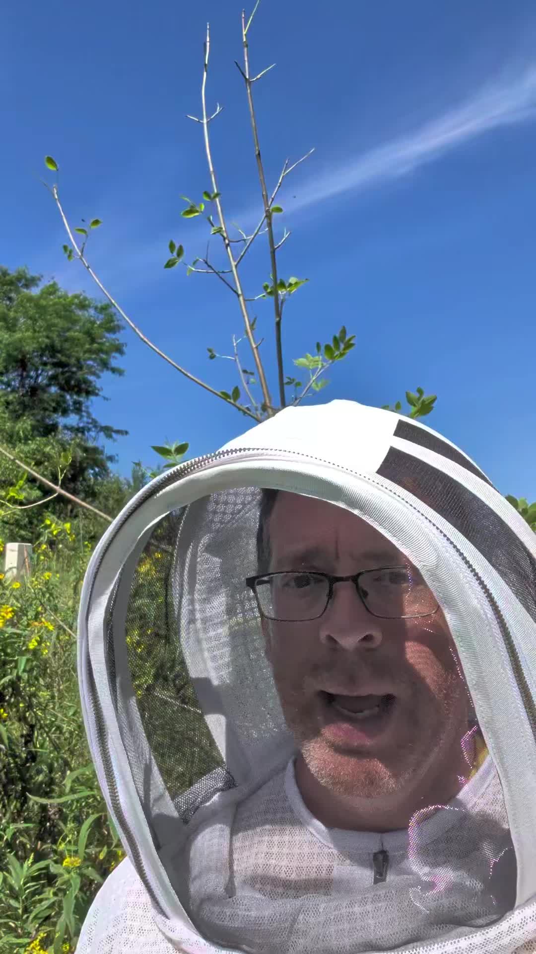 @Wisconsin Bee Company
