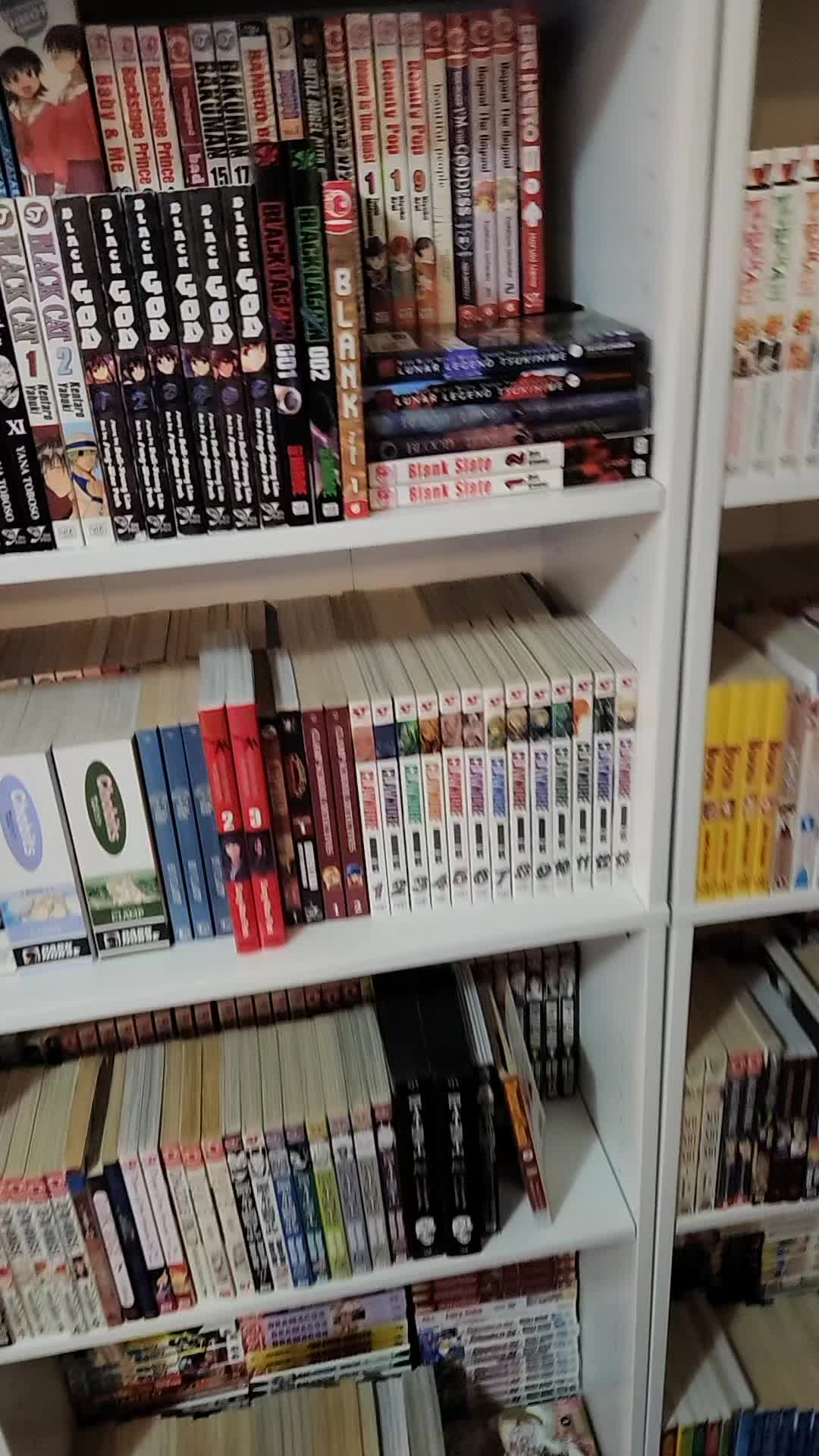 @YT: unusbovis