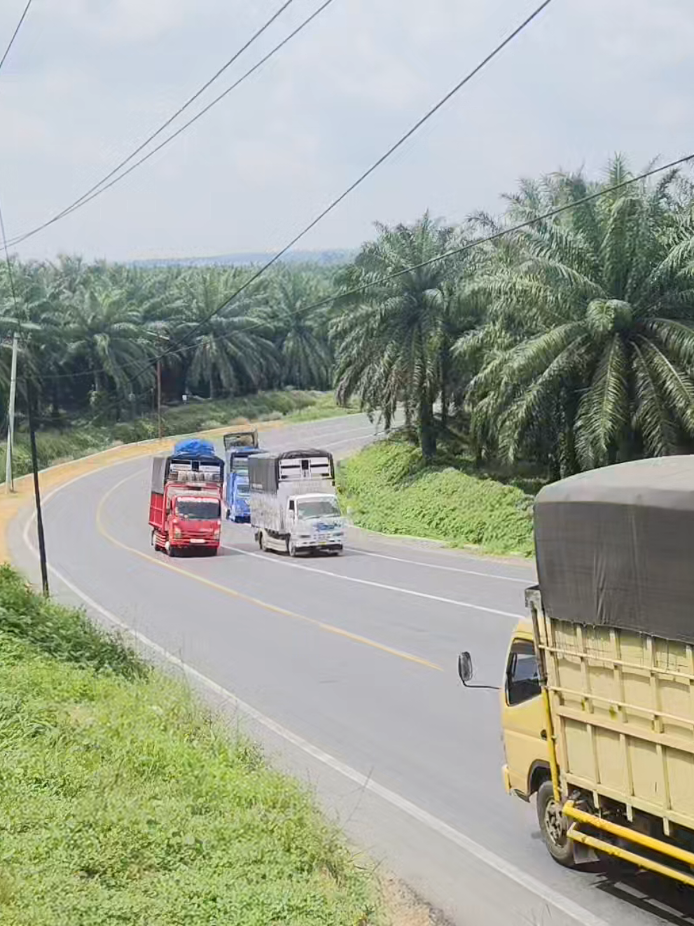 @Bukit Kodok Truck Video