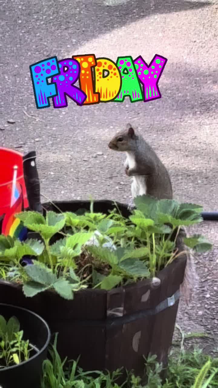 @Legalnarwhal