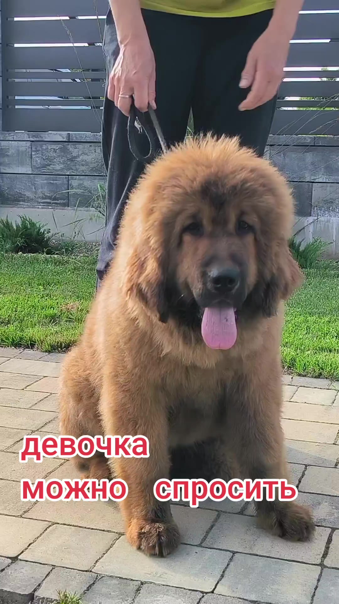 @Петровна