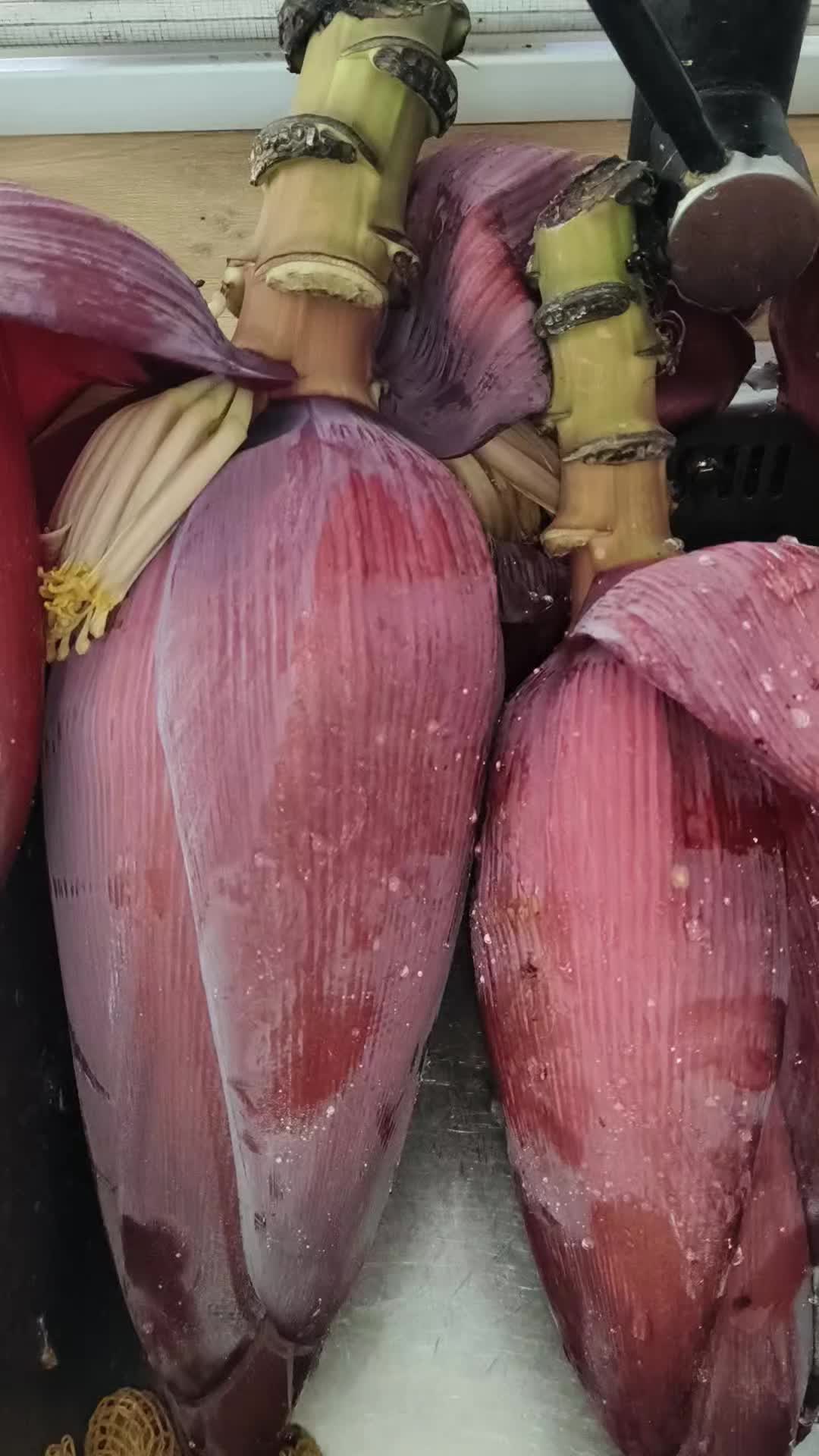 @azwari85