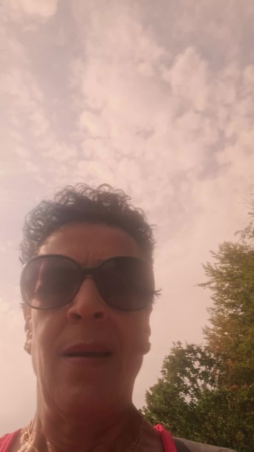 @falerna