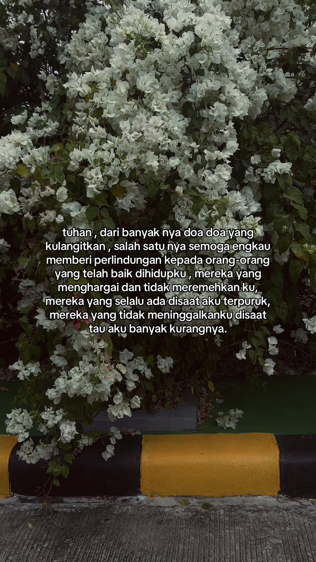 @Wa-One