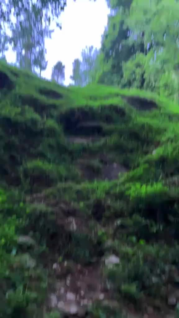 @غمِ زندگی تیرا شکریہ