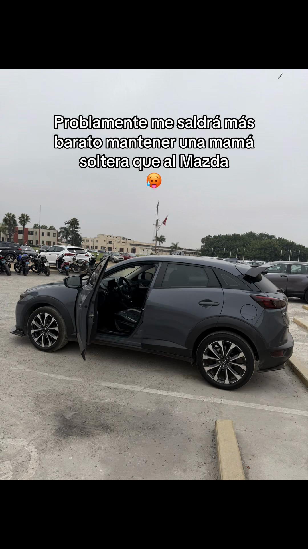 @GATOMAN 😾