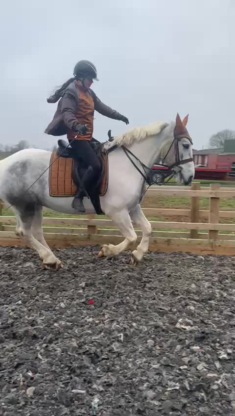 @horse