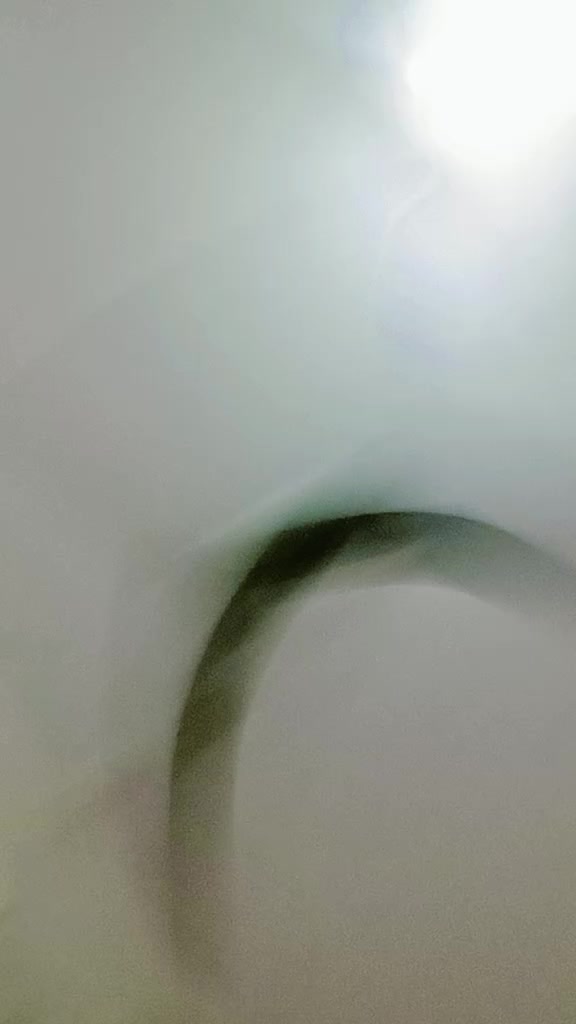 @Joyeta kundu.