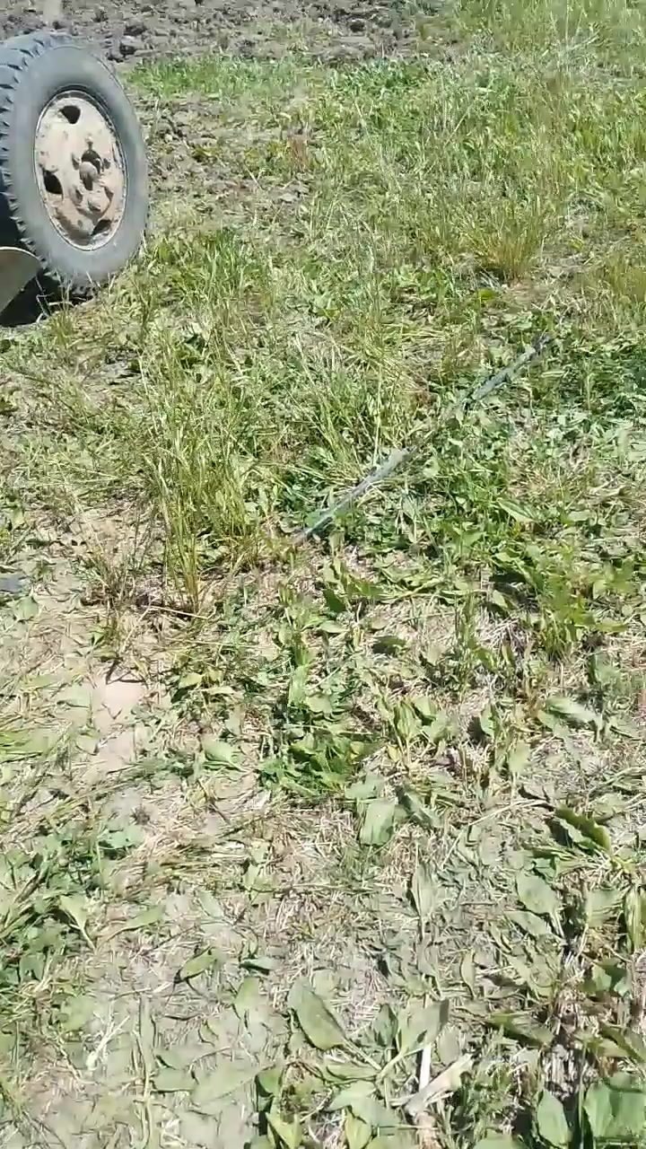 @николай