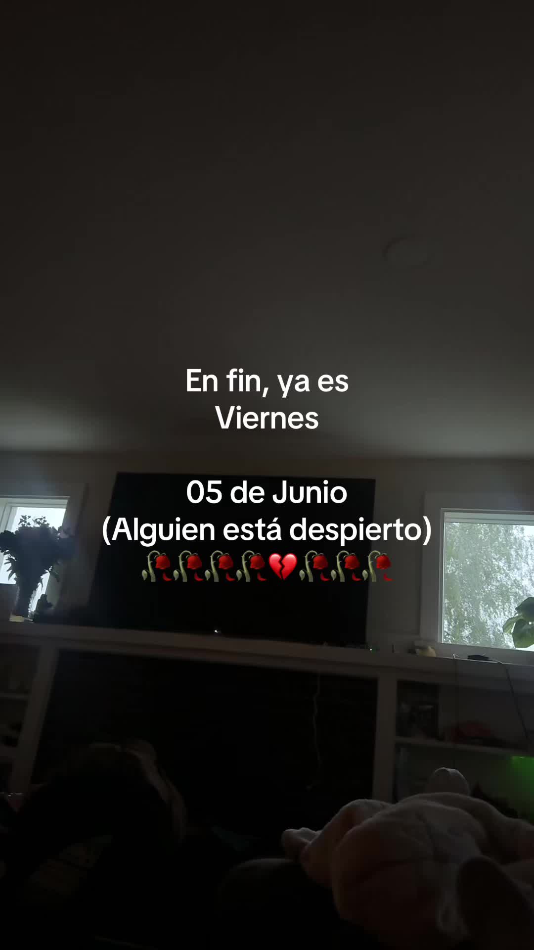 @pablocarbajal63