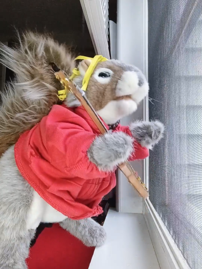 @Charles_TheSquirrel