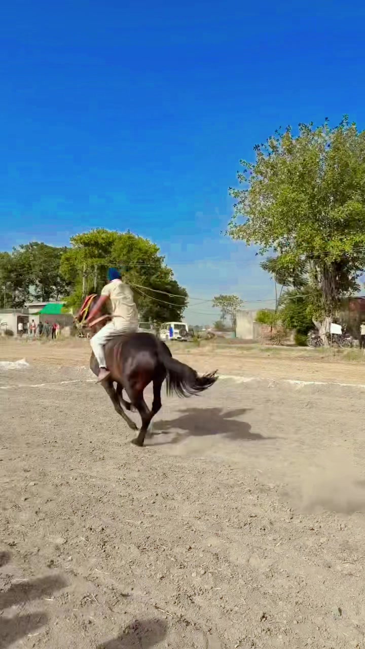@🏇 MARWARI HORSE RACING 🏇
