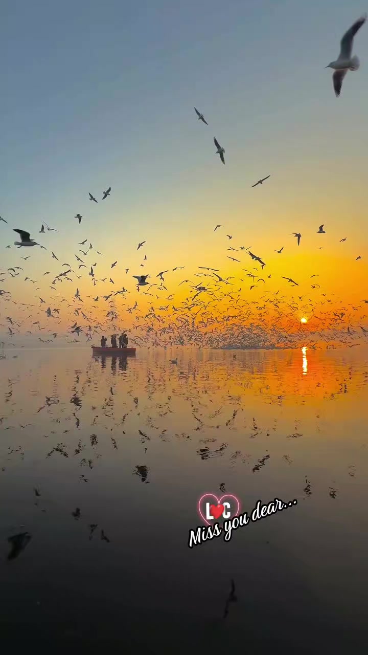 @✨❤️𝗦𝗜𝗗𝗛𝗨❤️✨