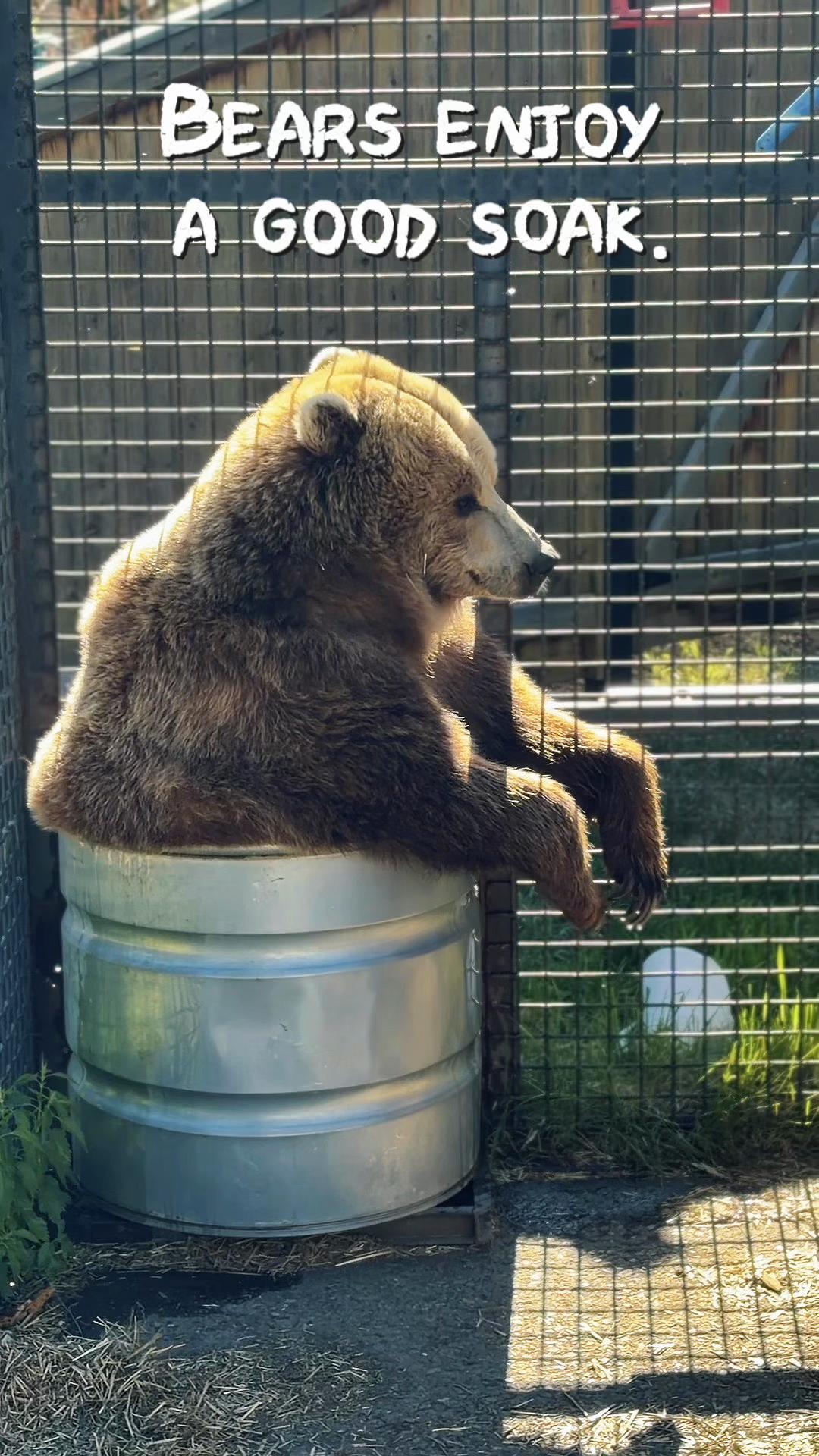 @BC Wildlife Park