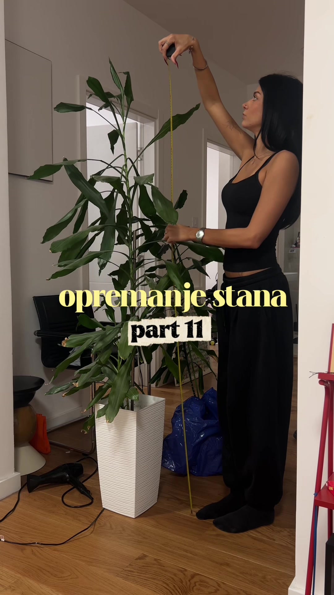 @anna 🕷️