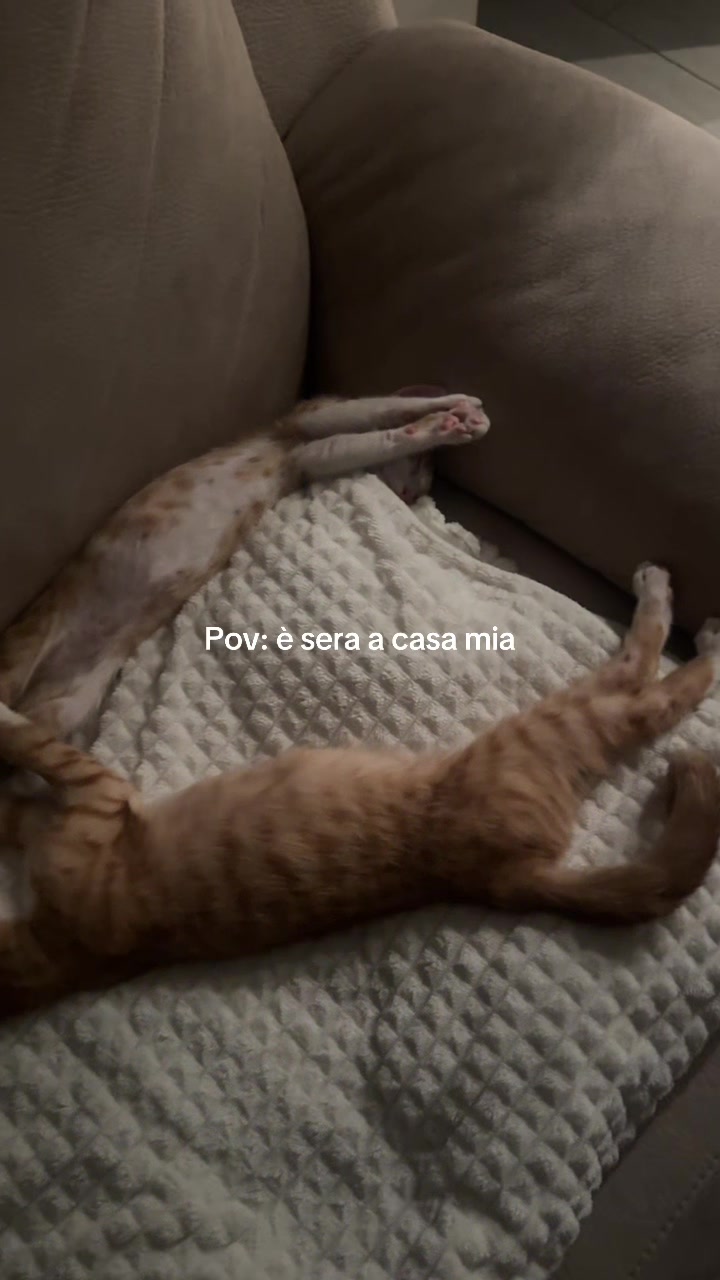 @𝒜𝓁𝑒𝓈𝓈𝒾𝒶