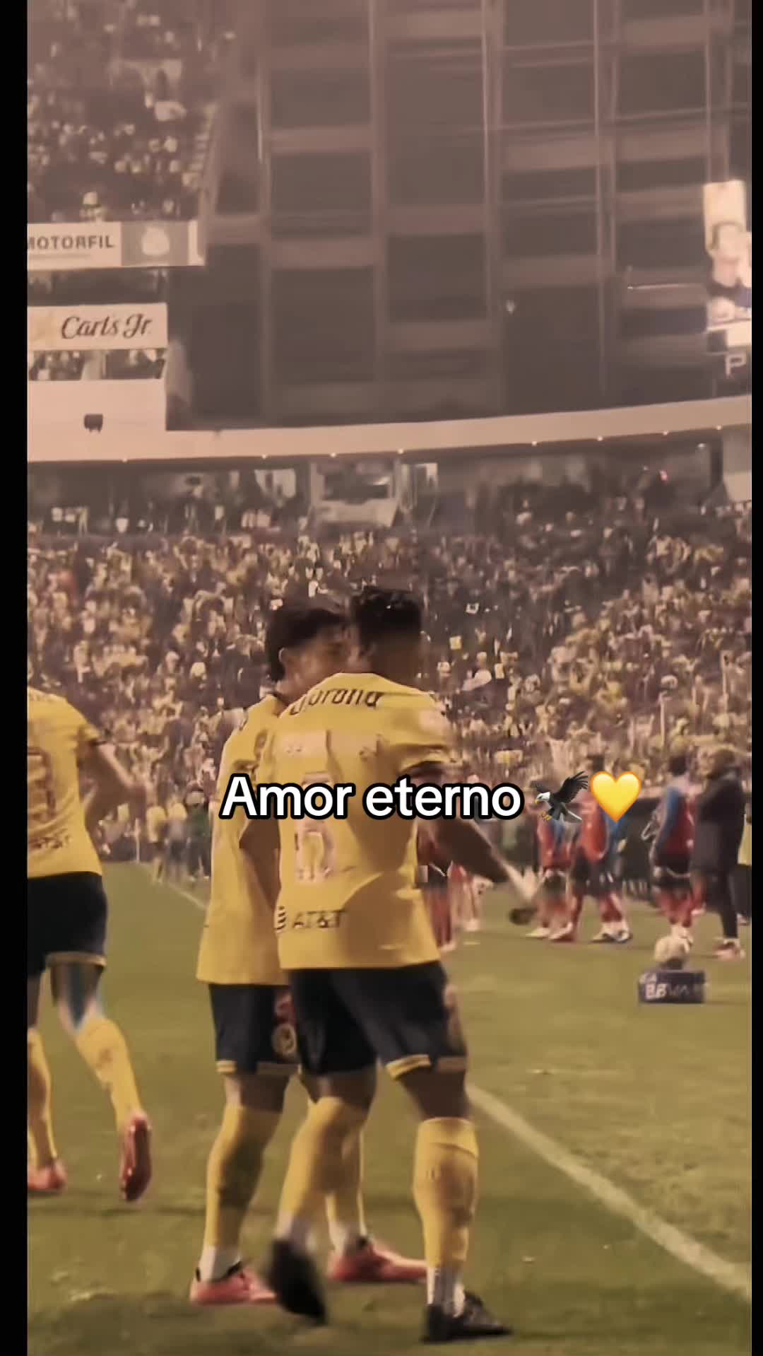 @Yocc✨🦅