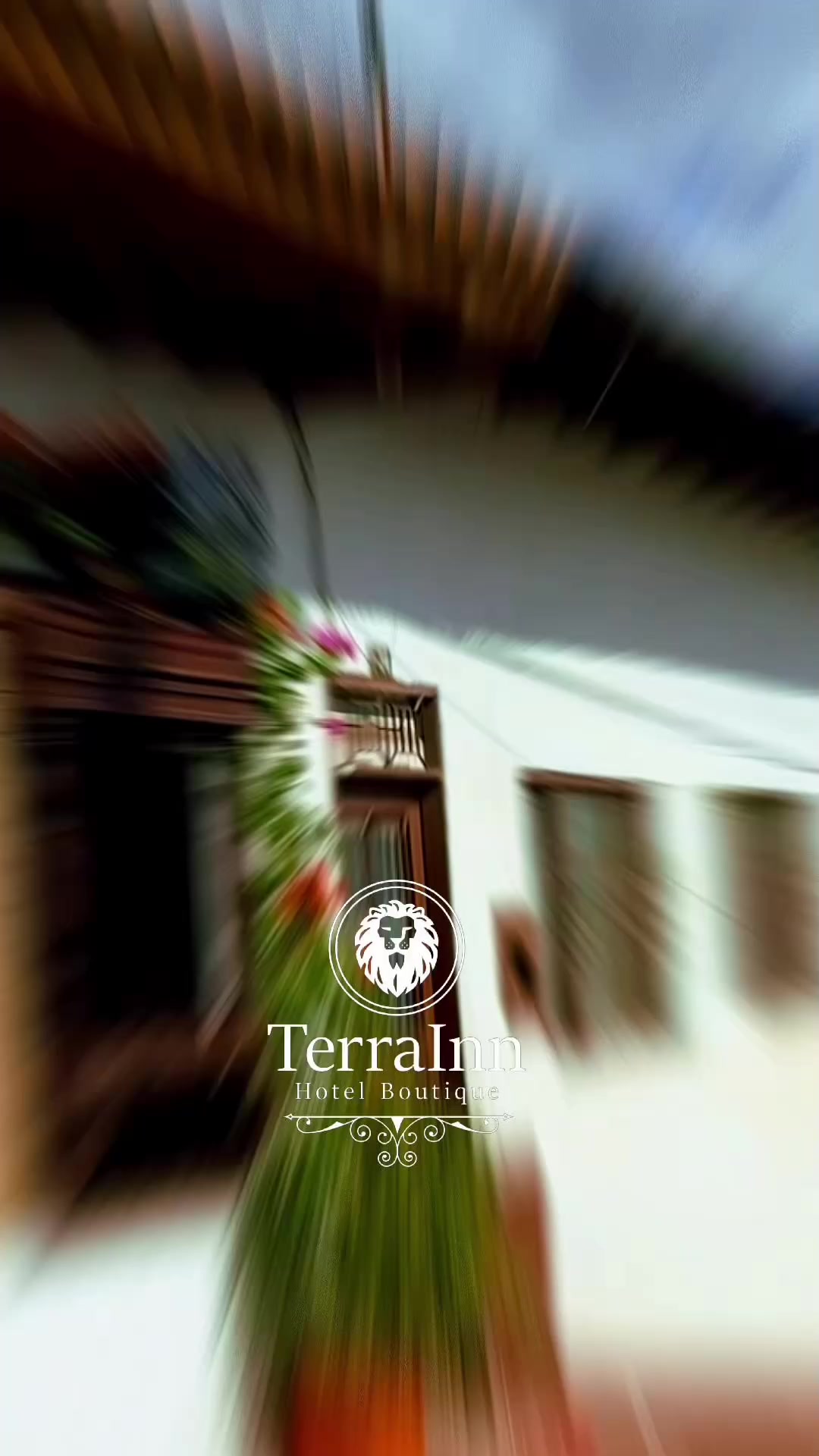 @Terra Inn