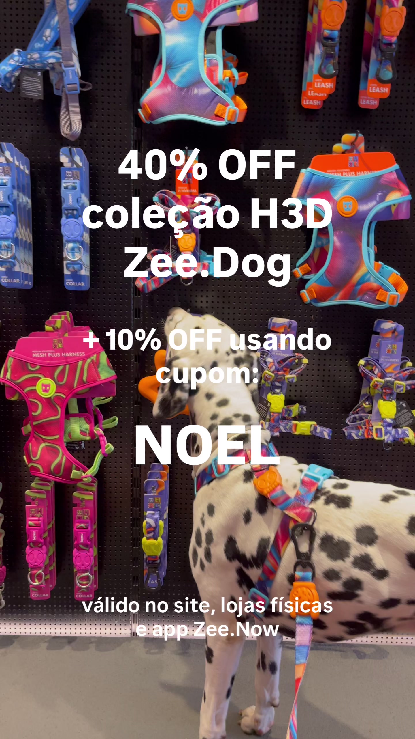 @&bull; Noel &bull;