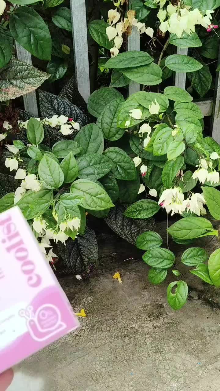 @Nguyễn Thiện Nhân