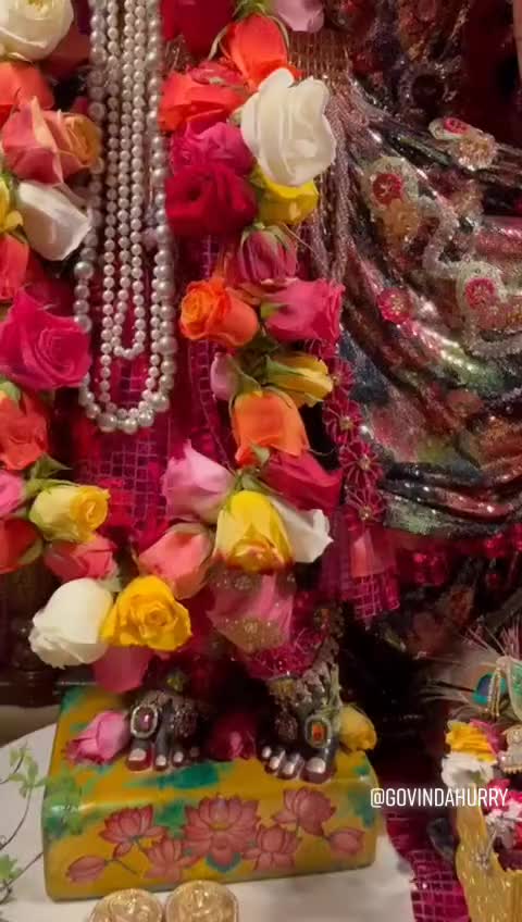 @govindahurry
