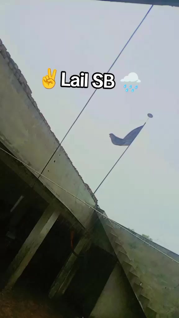 @sarfrazlailsb
