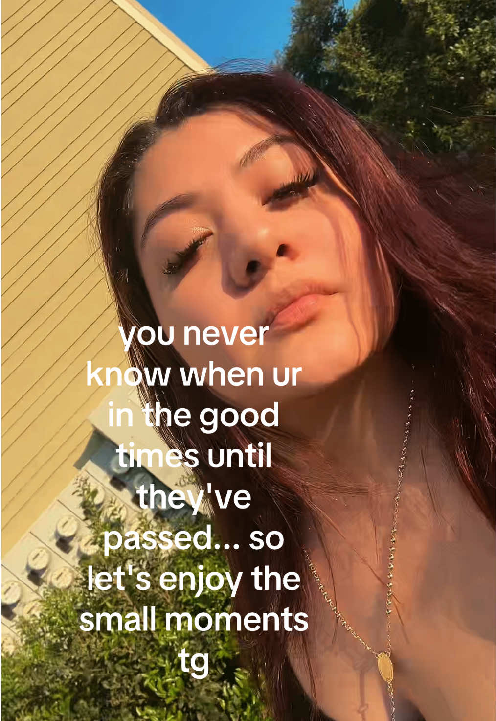 @lilyalexxis