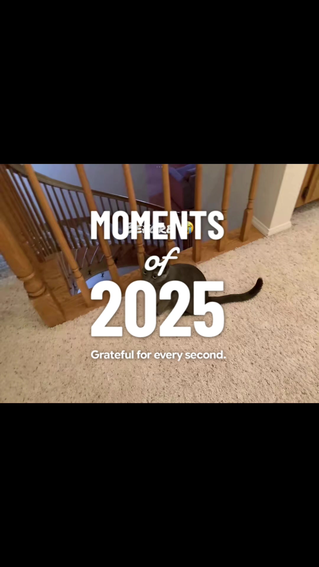 @streamer_bolb