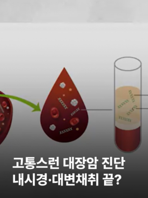 @JTBC News