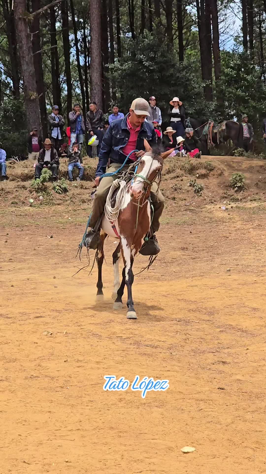 @Tato López