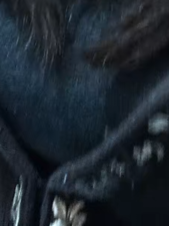 @BAGx