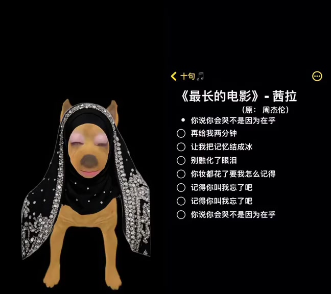 @全網最會唱歌的小黃