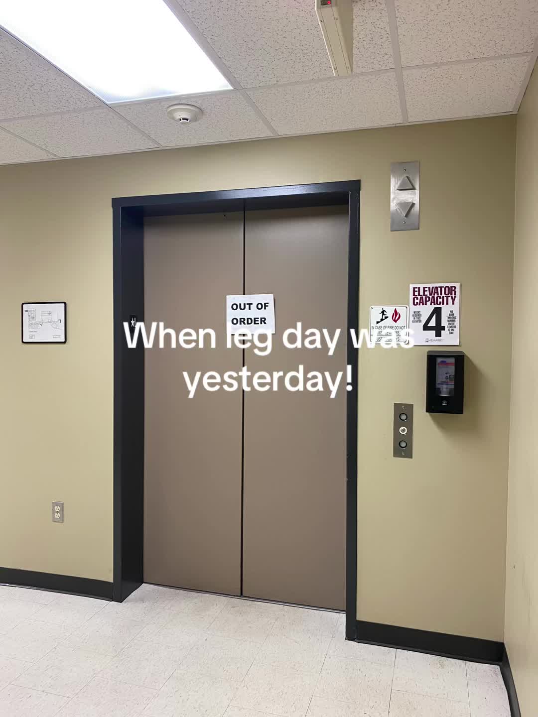 @🐊 Gator 🐊