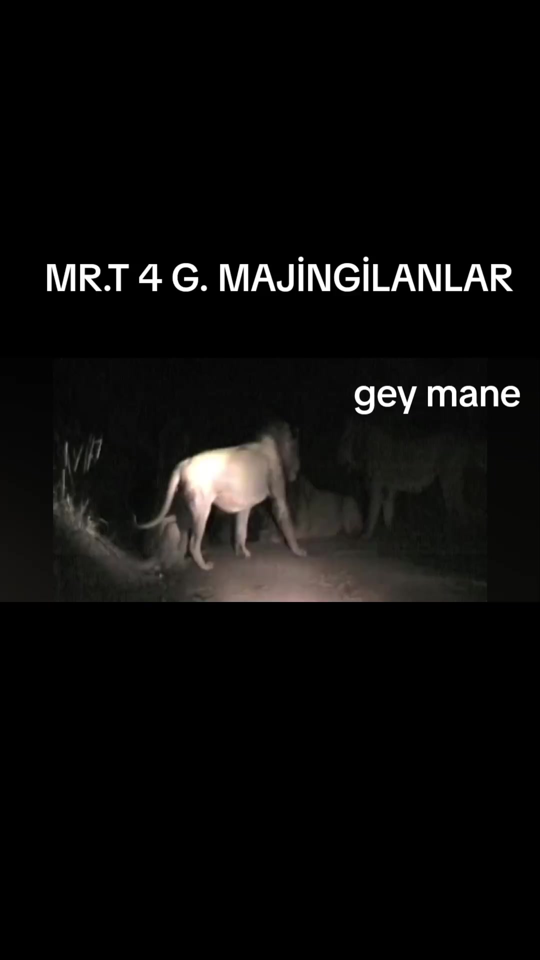 @KİNG MR.T