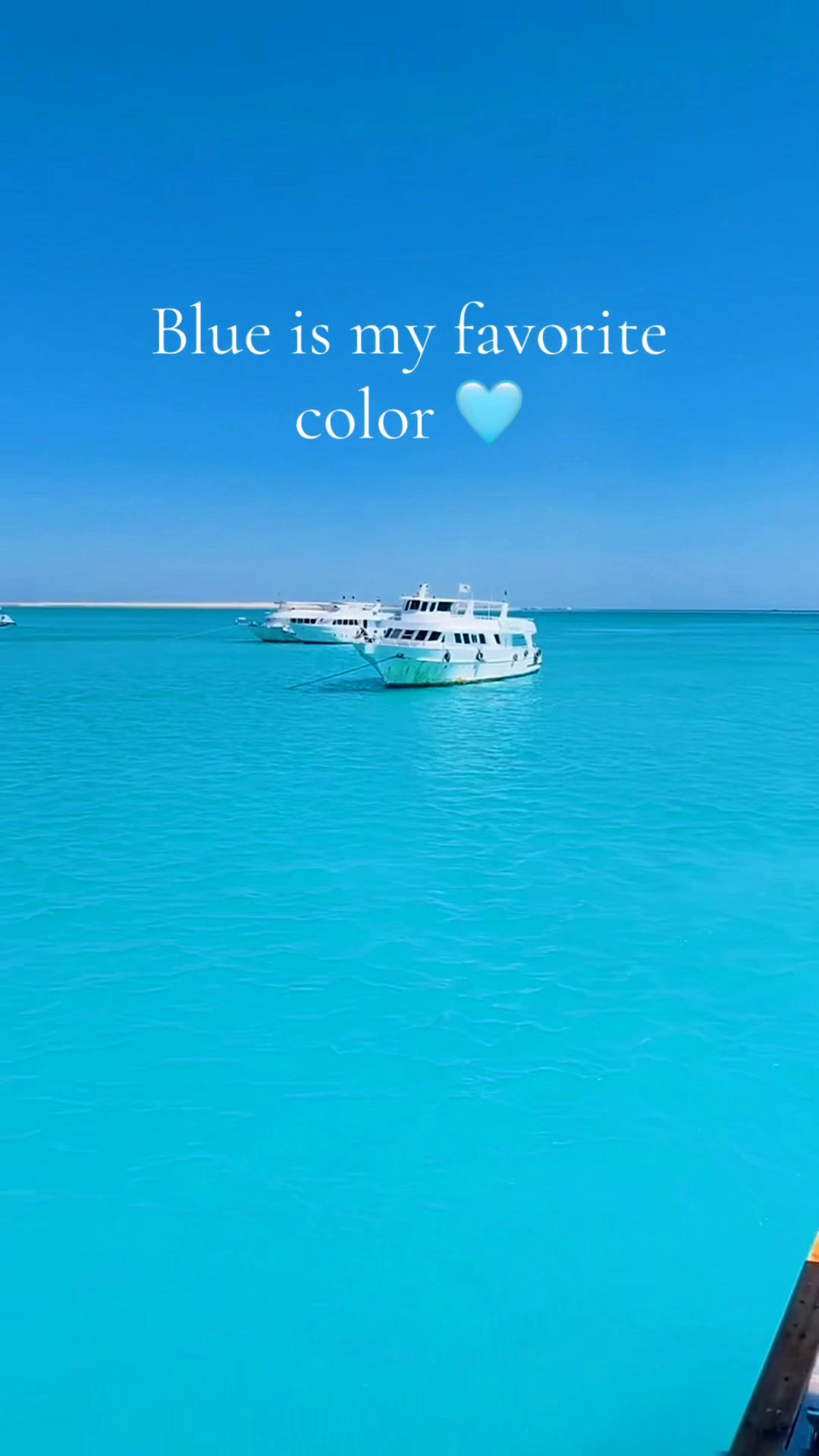 @lala_egypt