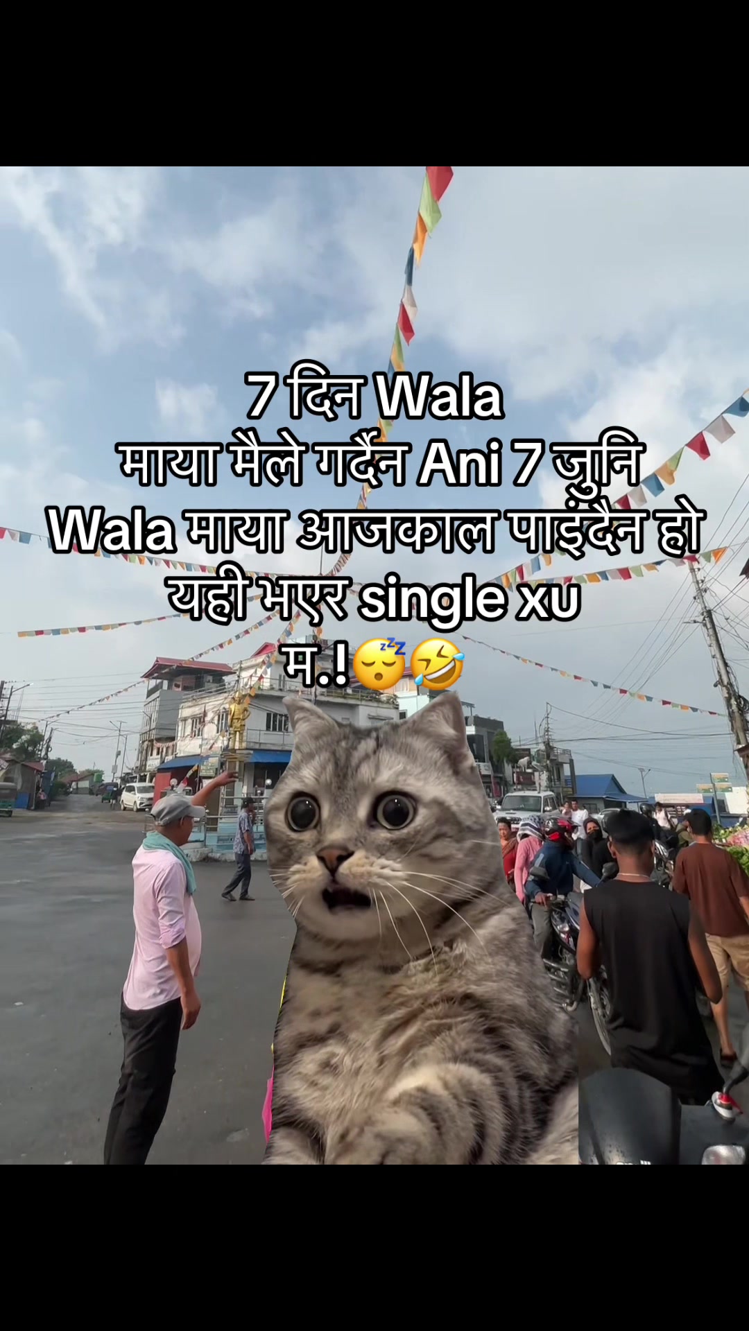 @अजय राज धामी  🇵🇹