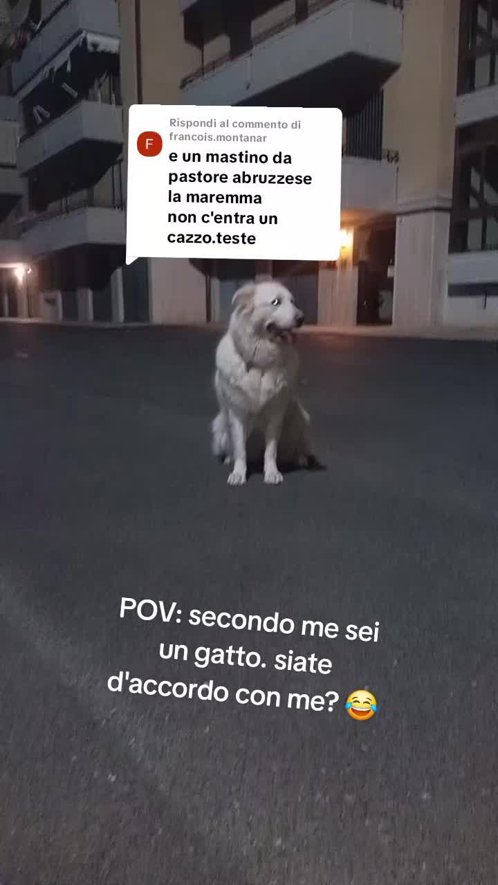 @bianca belpiede la maremmana