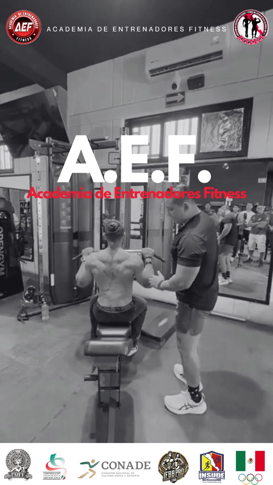 @aef_internacional