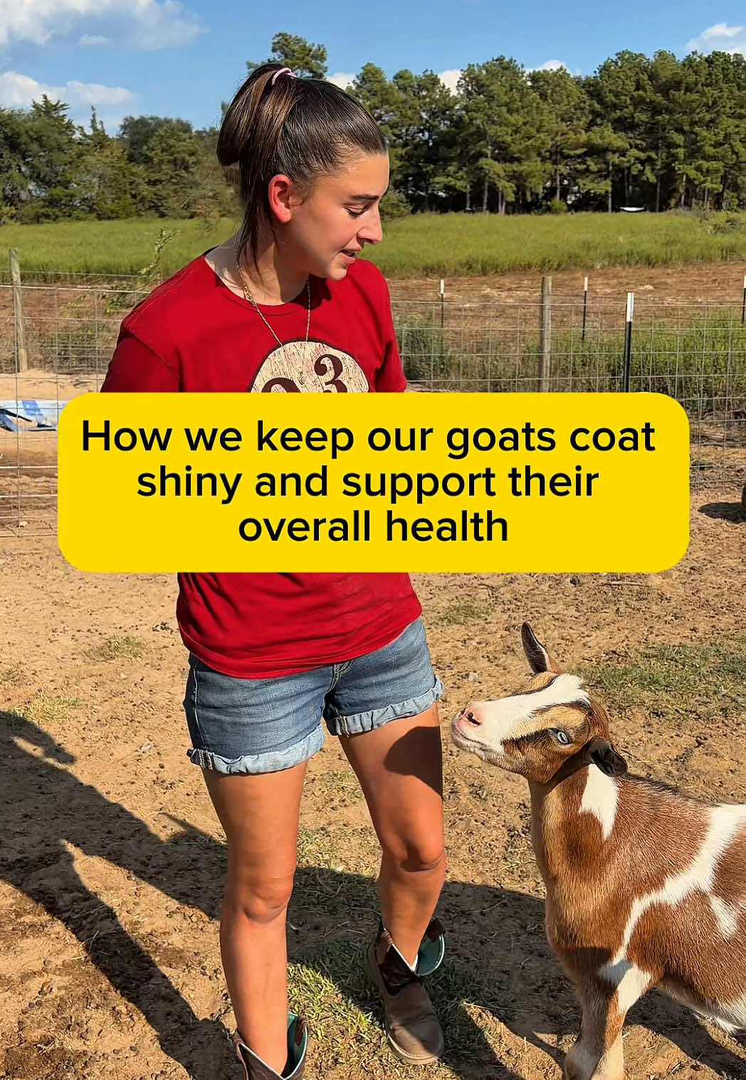 @Heart & Hoof Homestead