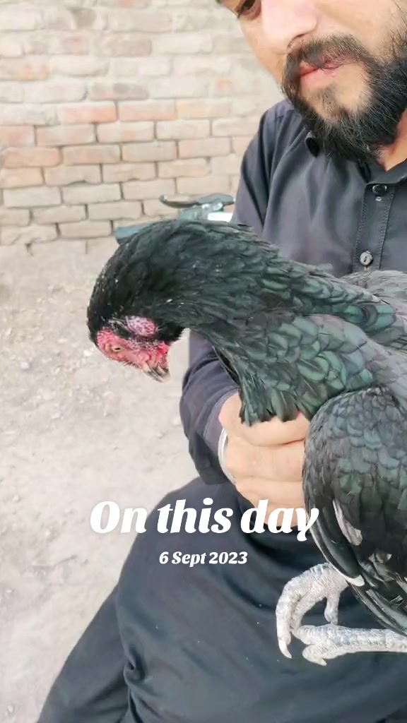 @Ali.Haider