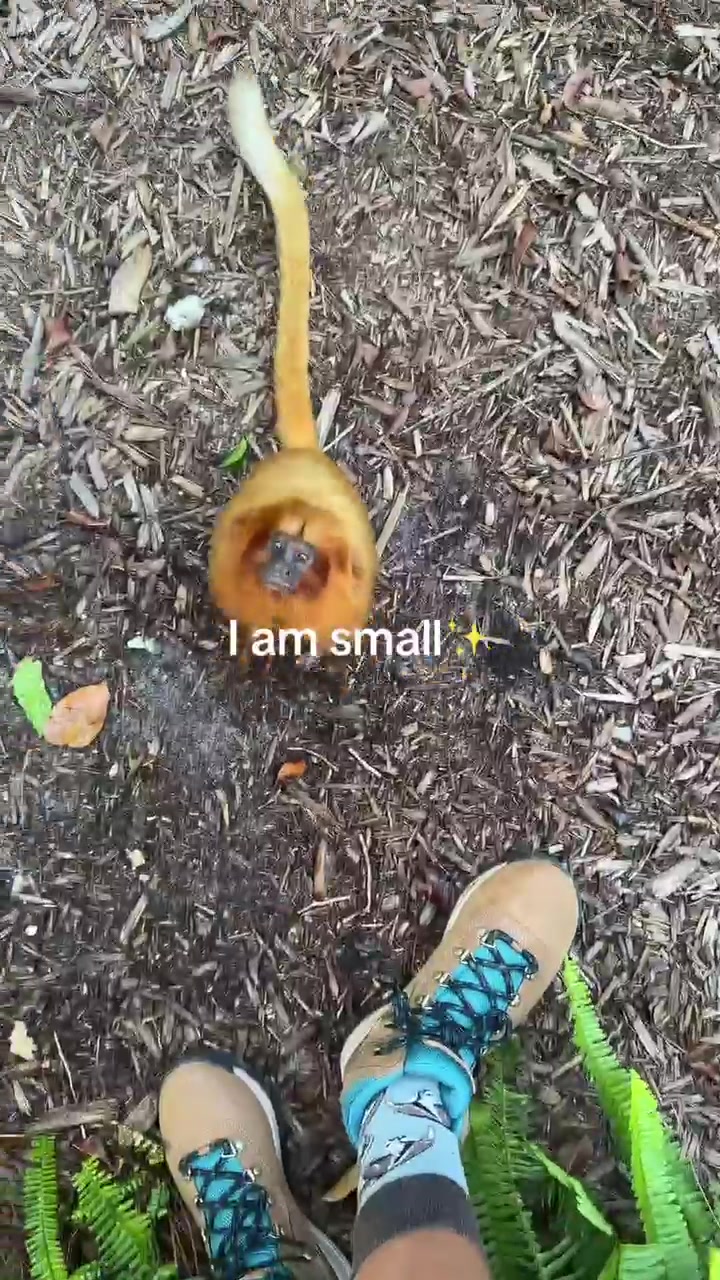 @Palm Beach Zoo
