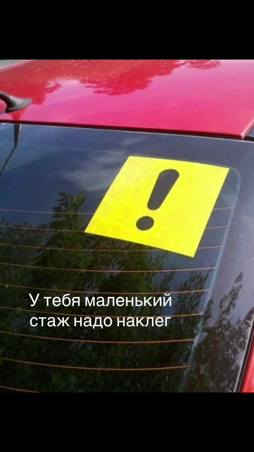 @Александр