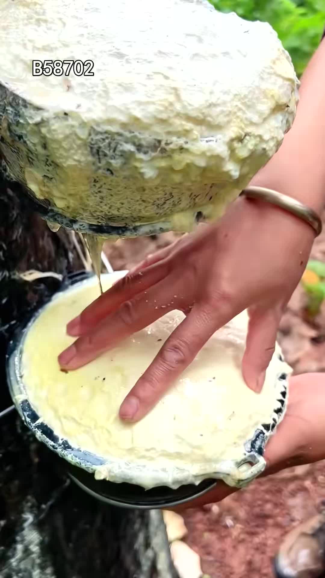 @pjtqbc