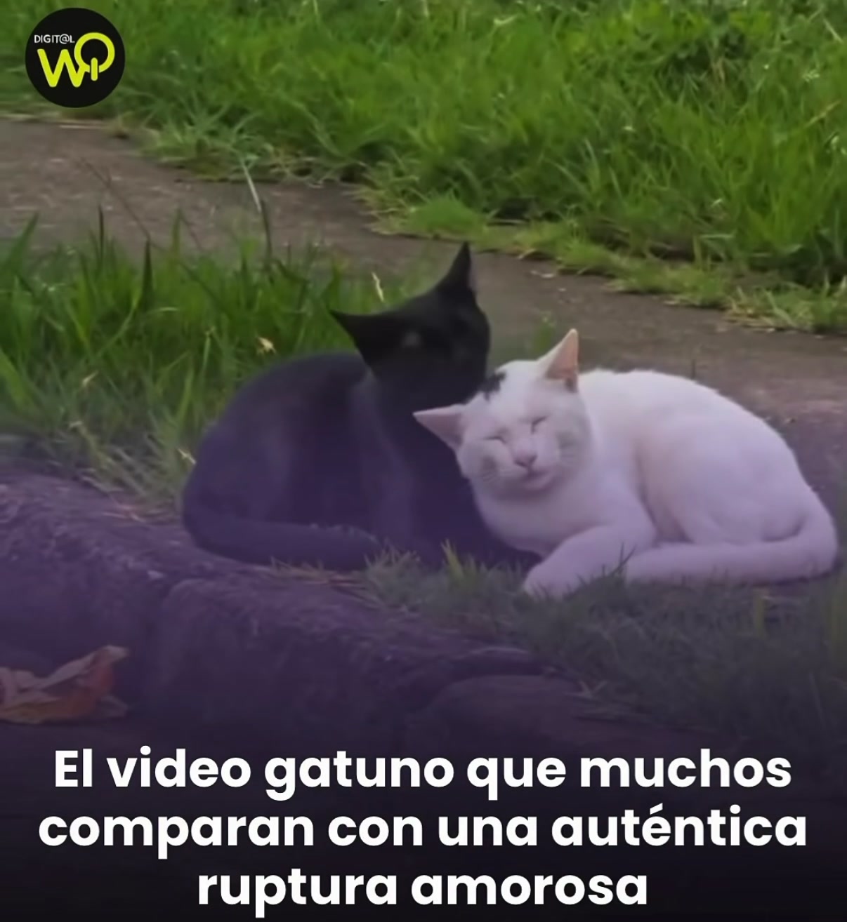 @Te espero en páginas no escrit